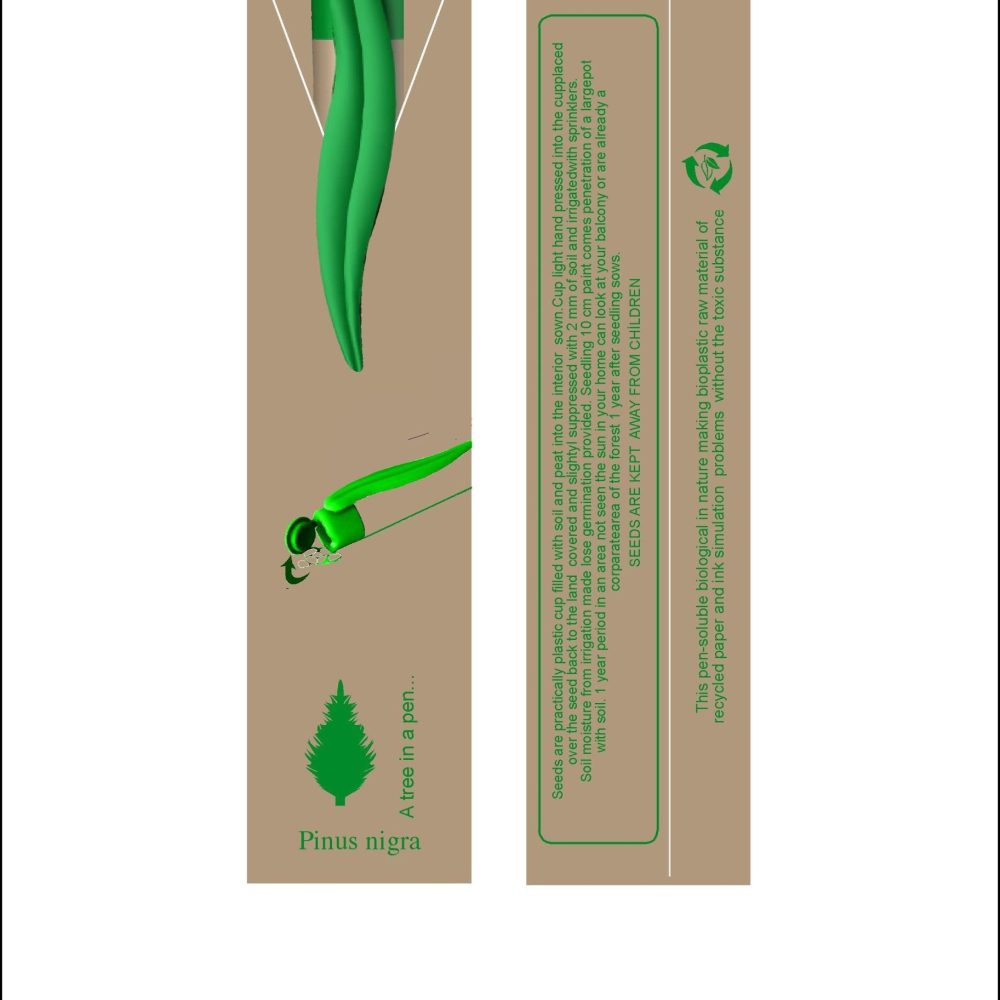 karacam inglizce 2 scaled